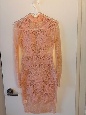 Gorgeous Blush Pink Lace Illusion Bodycon Midi with Long Sleeves